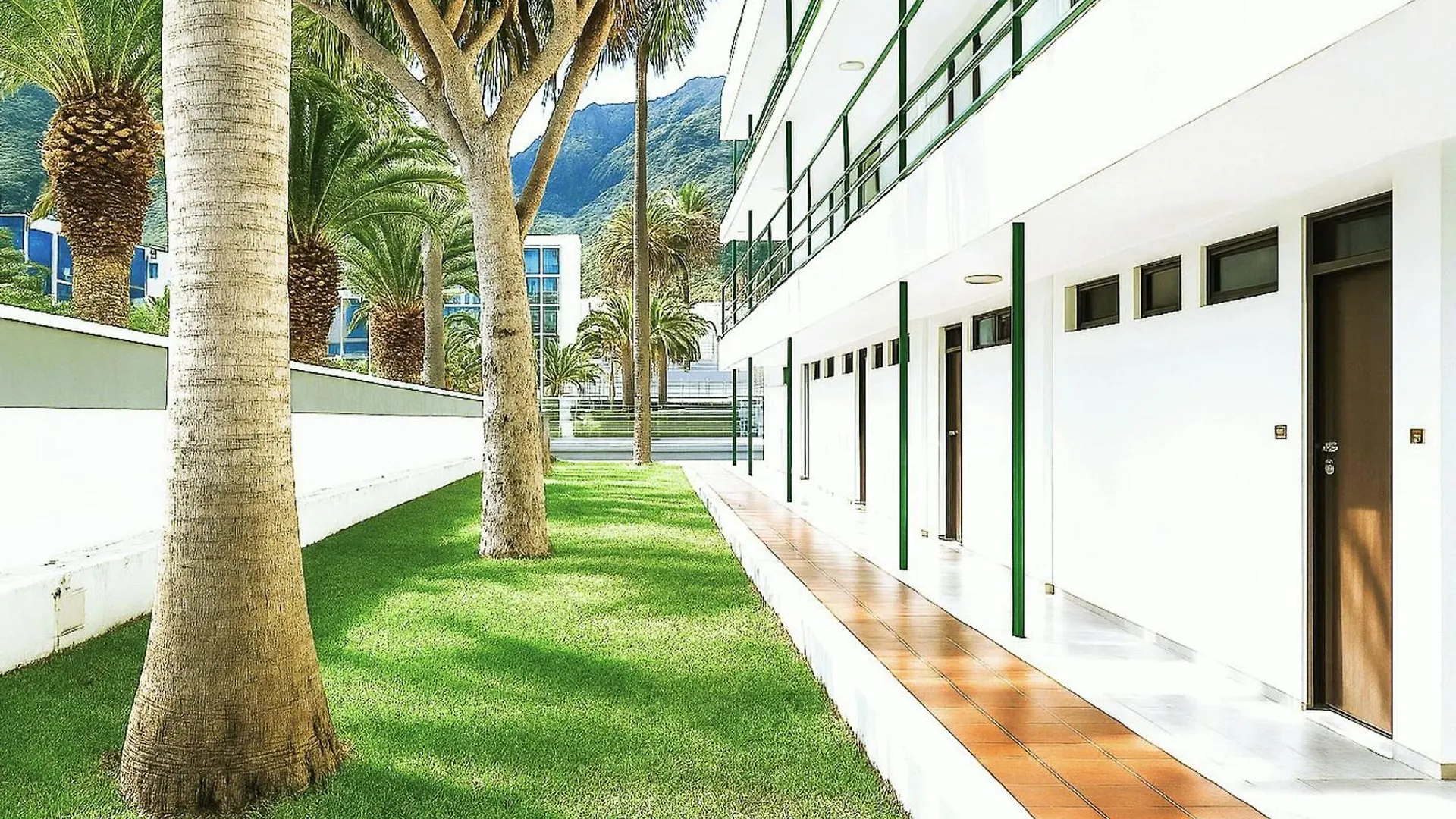 Live Punta Columbus Pool & Beach Front Punta Del Hidalgo Apartamento